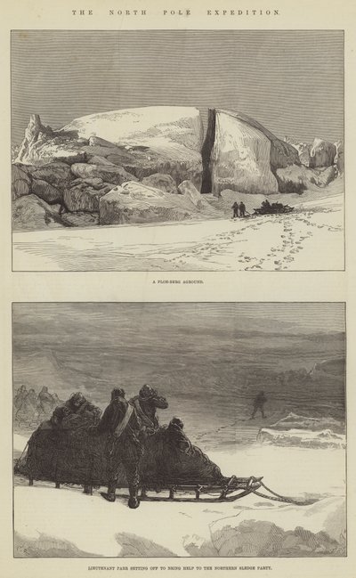 De Noordpool Expeditie door Sir John Charles Robinson